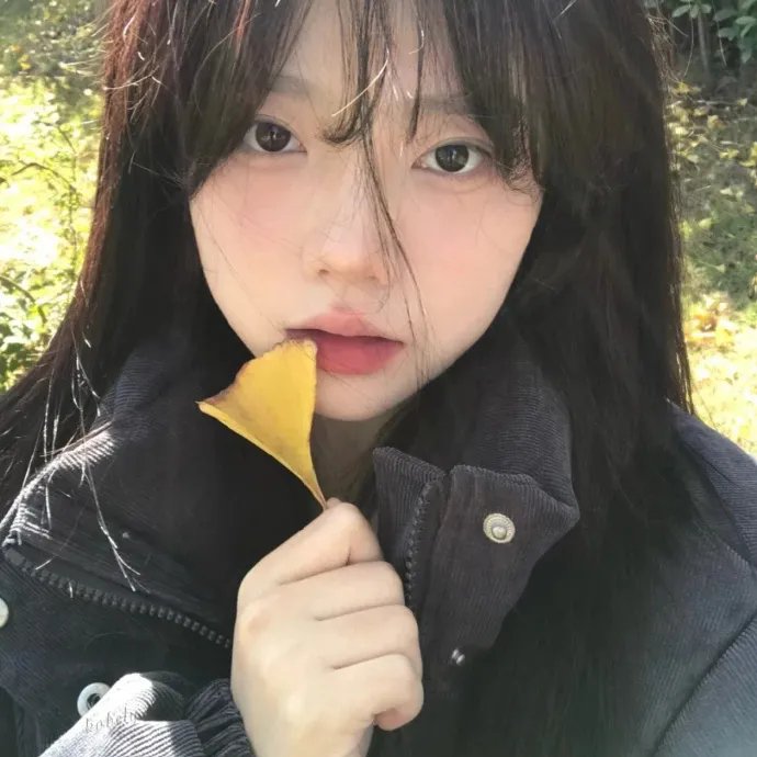 乡村爱情小夜曲